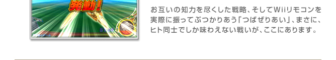 お互いの知力を尽くした戦略、そしてＷｉｉリモコンを実際に振ってぶつかりあう「つばぜりあい」、
まさに、ヒト同士でしか味わえない戦いが、ここにあります。