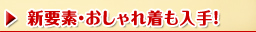 新要素・おしゃれ着も入手！